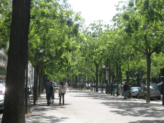 Strolling down a tree-lined boulevard after visiting the artist's market.