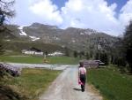Hiking up through an Alpine ski area.
