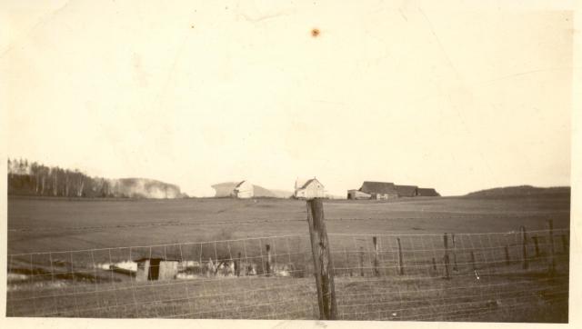 1930s:  Farm with swamp in forground.